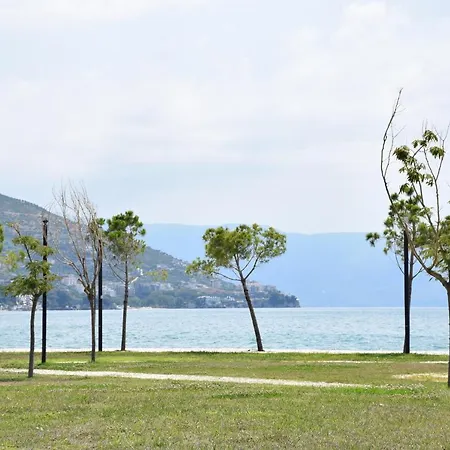 Miro Vlore