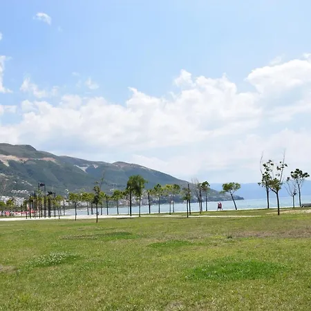 Miro Vlore